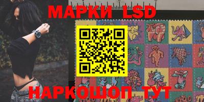индика Аша