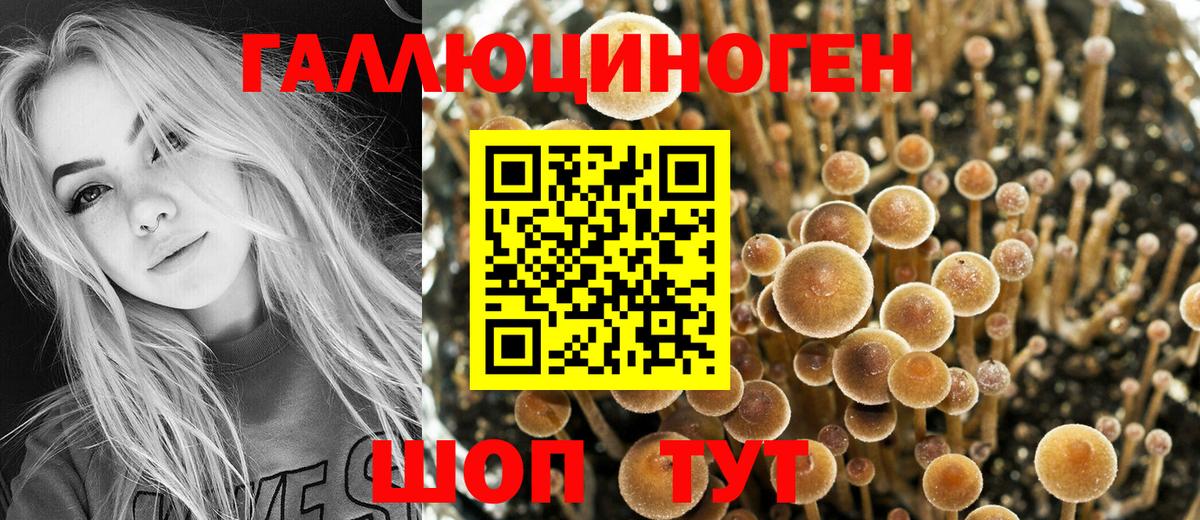 Псилоцибиновые грибы прущие грибы  как найти закладки  Белая Калитва  Вход с VPN 
